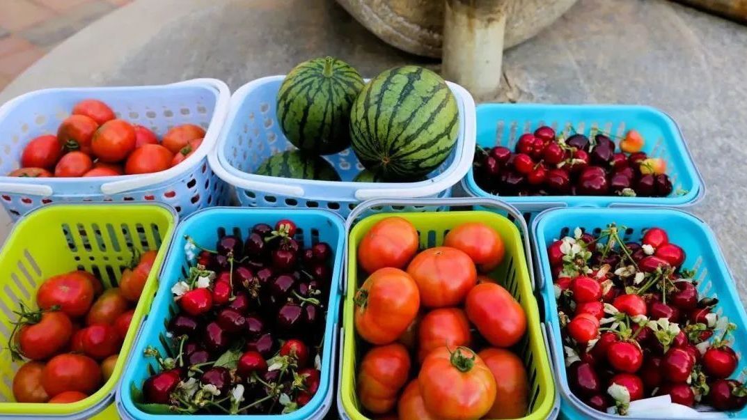 五一“趣”房山 你是采摘“鲜”锋 五一“趣”房山 你是采摘“鲜”锋