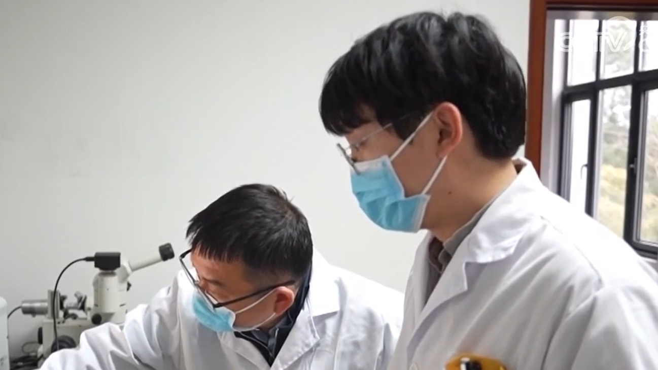 【代表委员履职故事】严建兵：加快种业创新转化 保障国家粮食安全