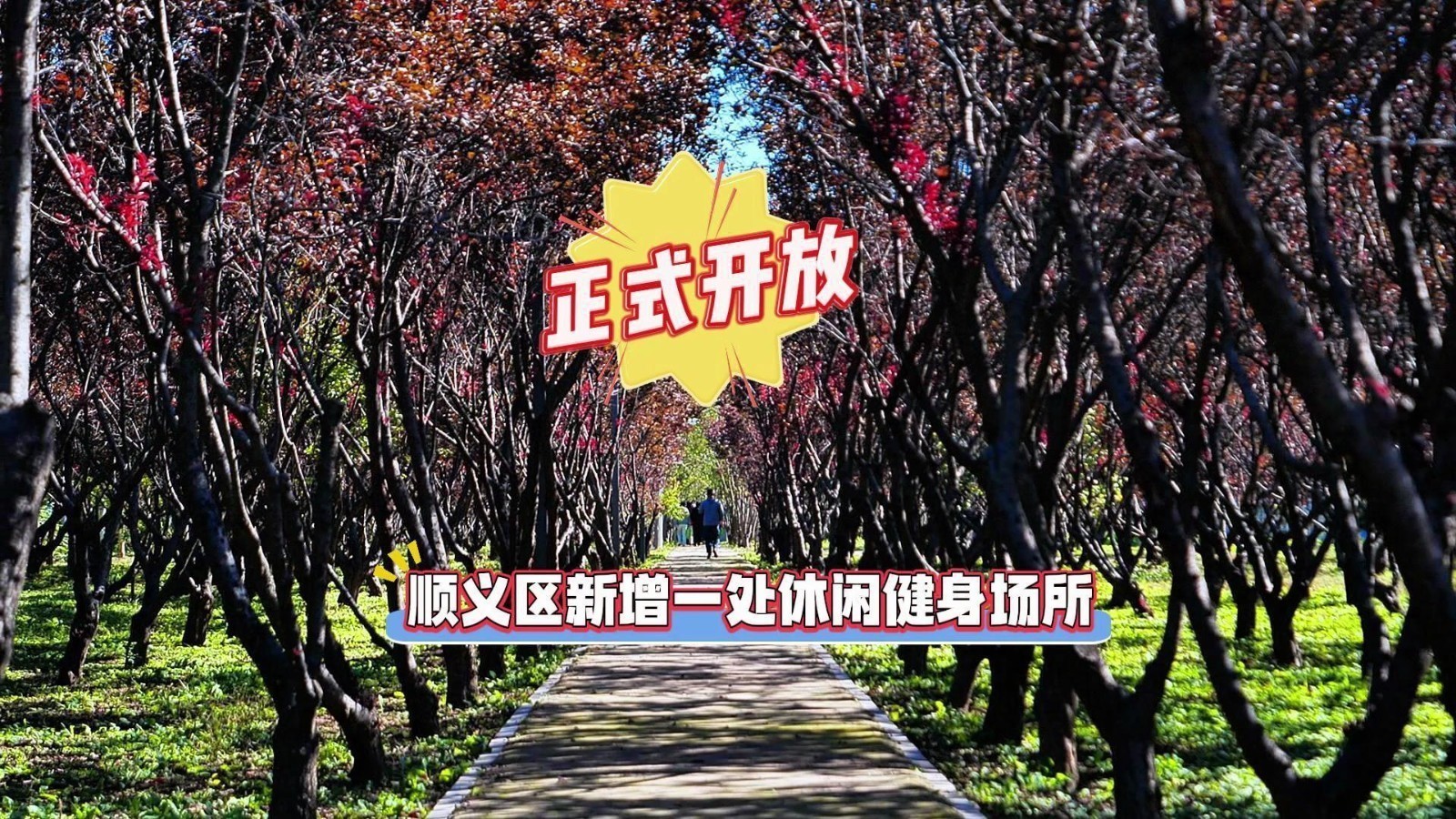 顺义区牛栏山生态漫行步道正式开放