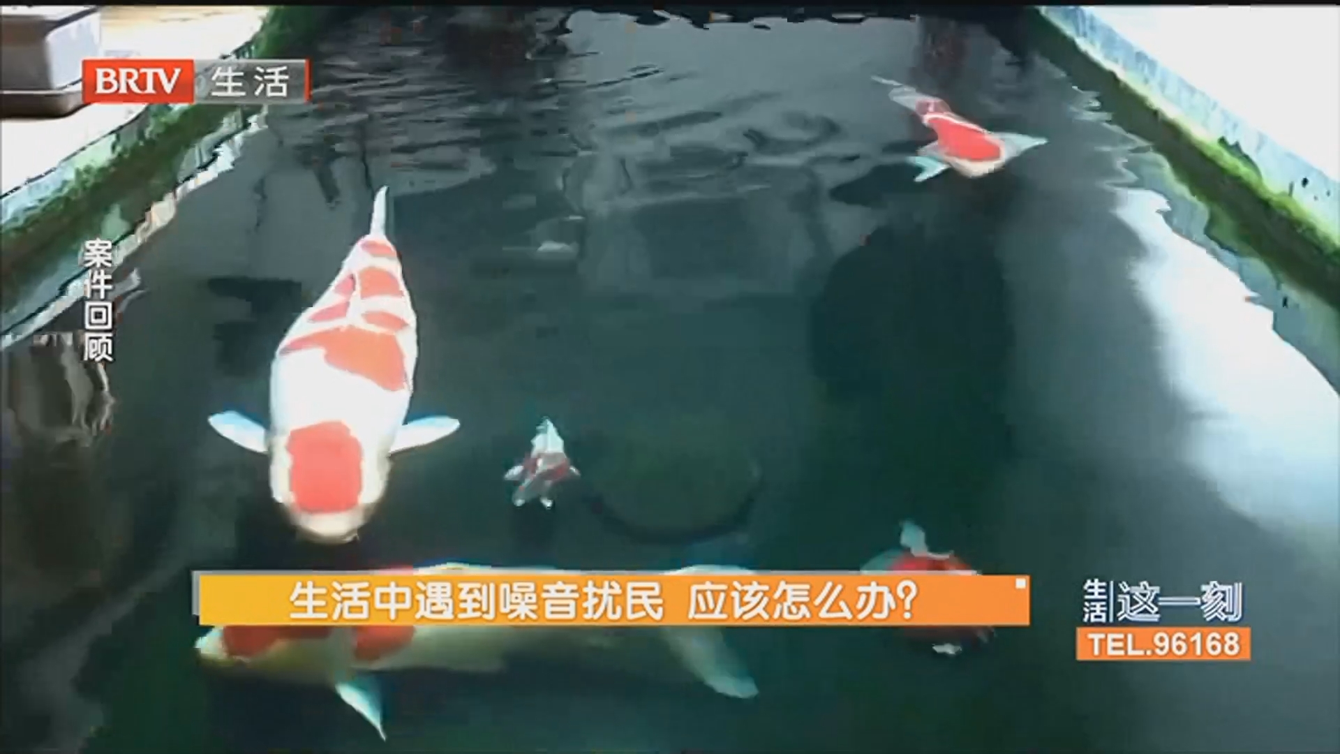 生活中遇到噪音扰民 应该怎么办？噪音扰民不听劝？新治安管理处罚法亮剑