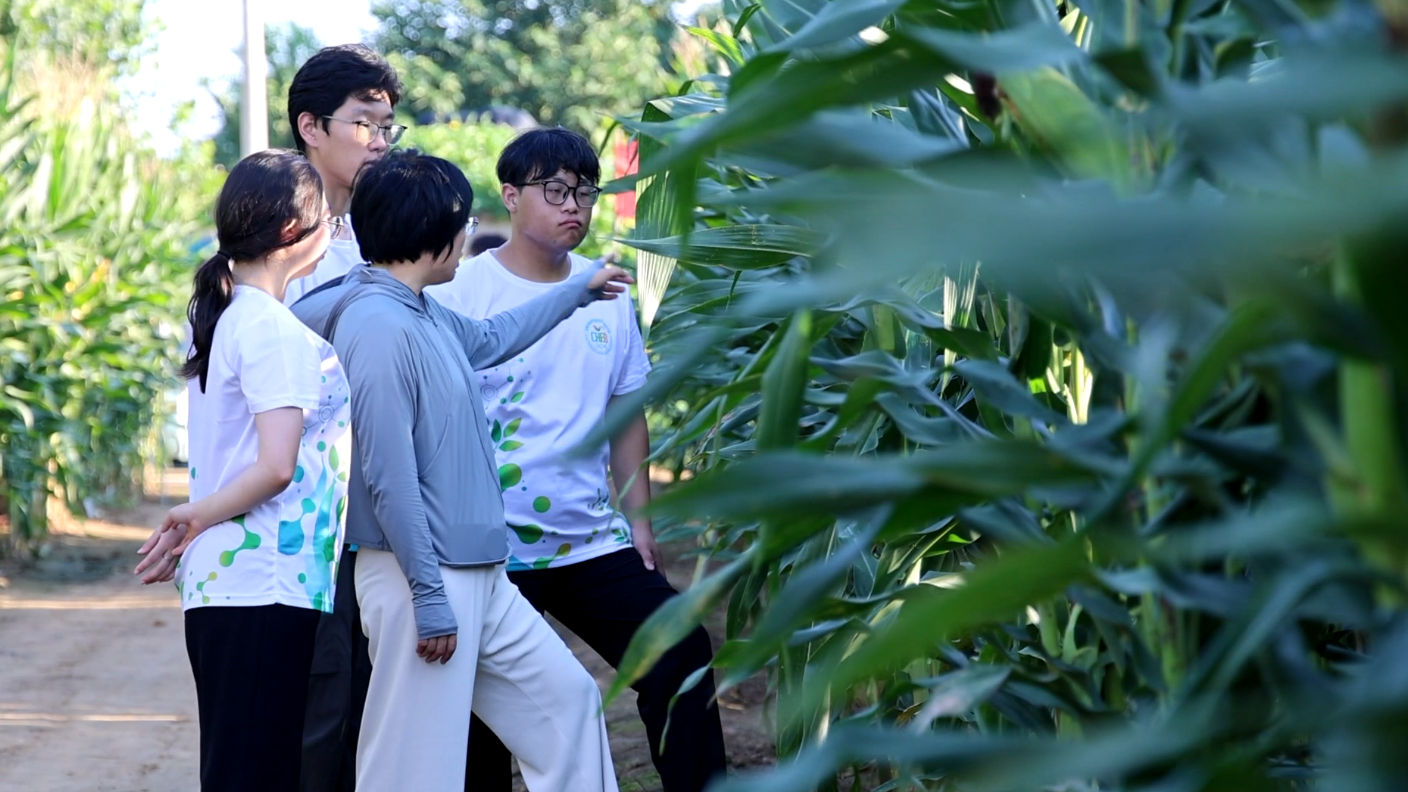 打破垄断、实现零突破!看平谷农业中关村的硬核育种答卷 打破垄断、实现零突破!看平谷农业中关村的硬核育种答卷