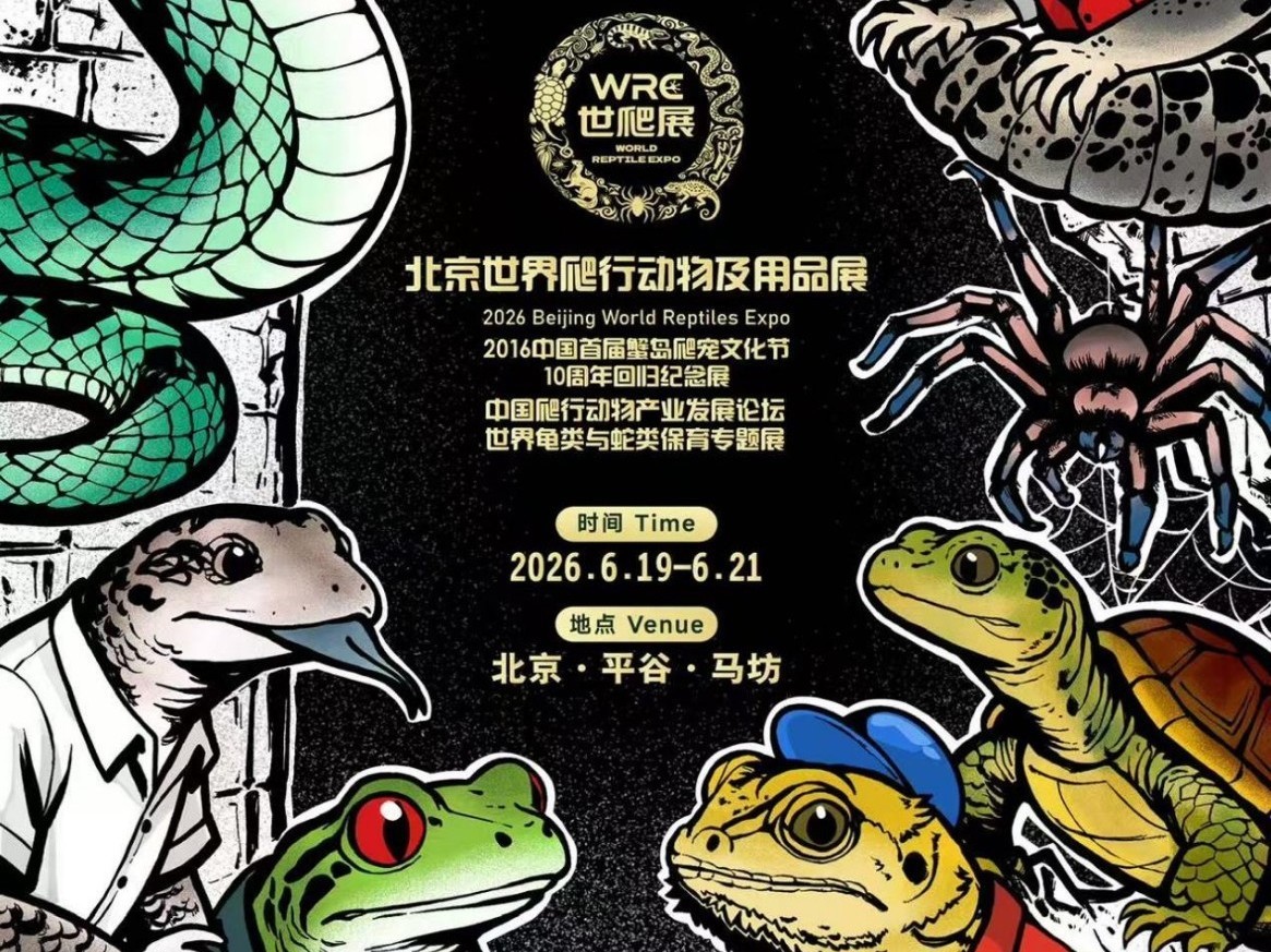 鳞甲之光，生命共生！2026北京世爬展暨全球爬宠盛典6月平谷重磅启幕