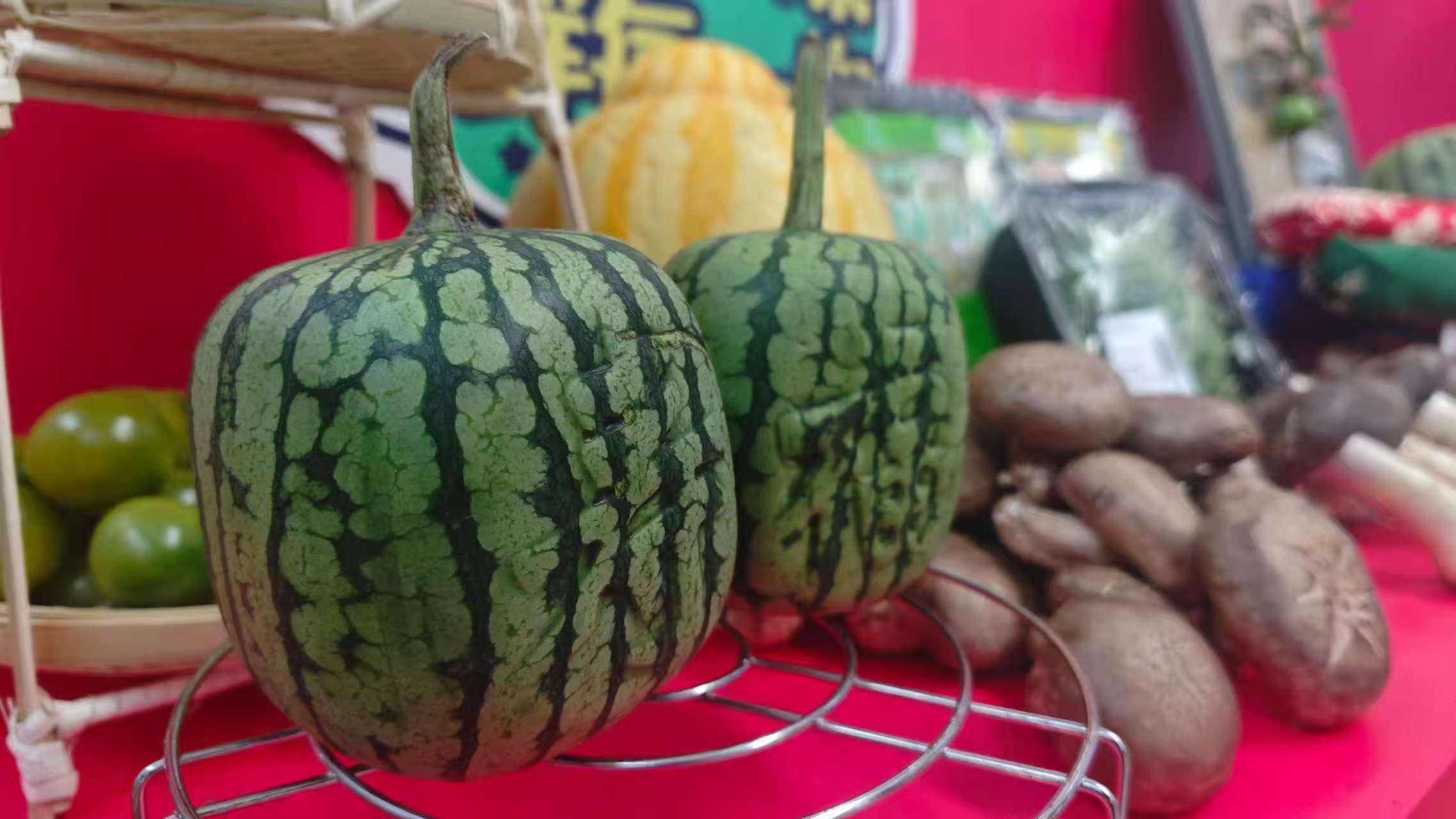 “瓜”分快乐!第37届大兴西瓜节超强攻略来啦! “瓜”分快乐!第37届大兴西瓜节超强攻略来啦!