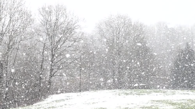 大雪暴雪！冻雨！大范围雨雪降温天气将“上线”！