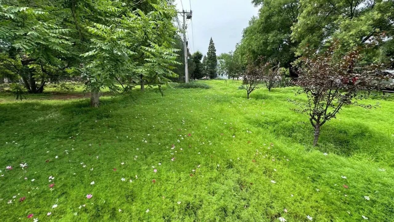 骑行跑步添新景!十三陵水库路两侧,变样了 骑行跑步添新景!十三陵水库路两侧,变样了
