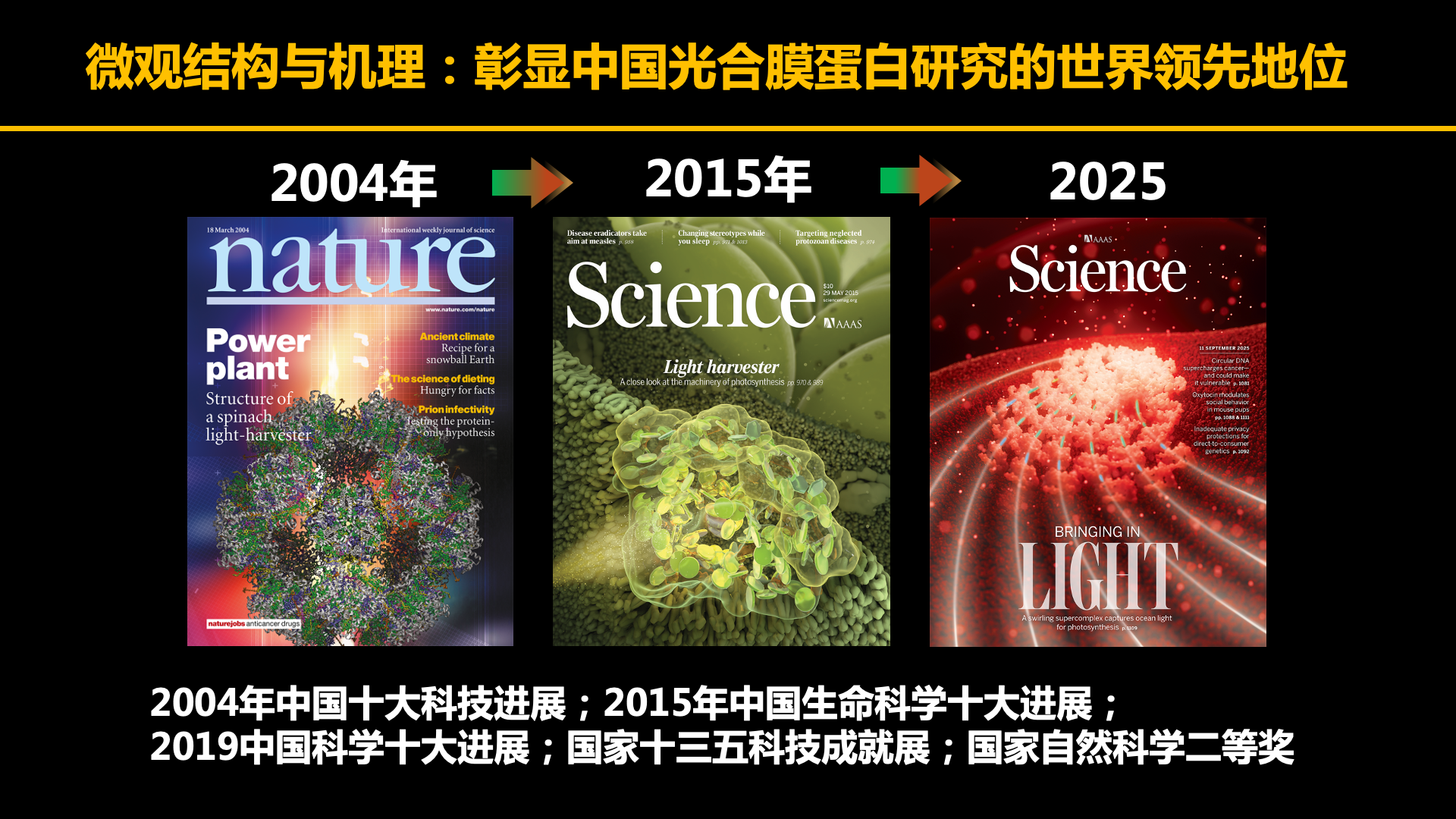 王文达：向海洋藻类借光，设计未来的高效光合作用