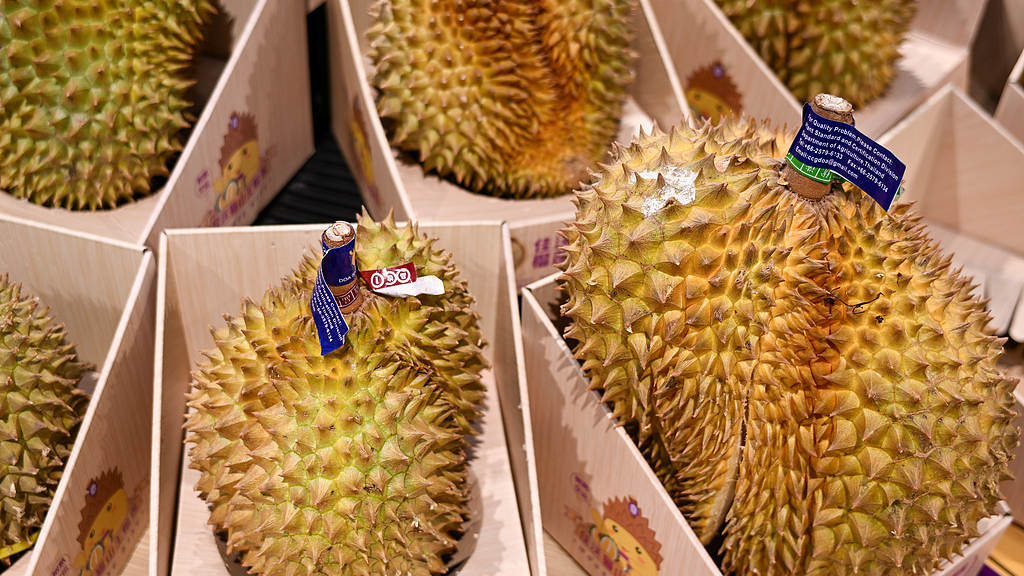 集中上市期！泰国榴莲又来一批