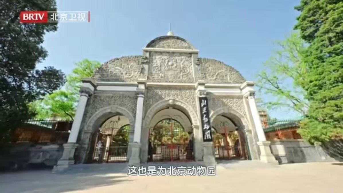 北京动物园大熊猫新馆即将上线,新家Roomtour来了! 北京动物园大熊猫新馆即将上线,新家Roomtour来了!