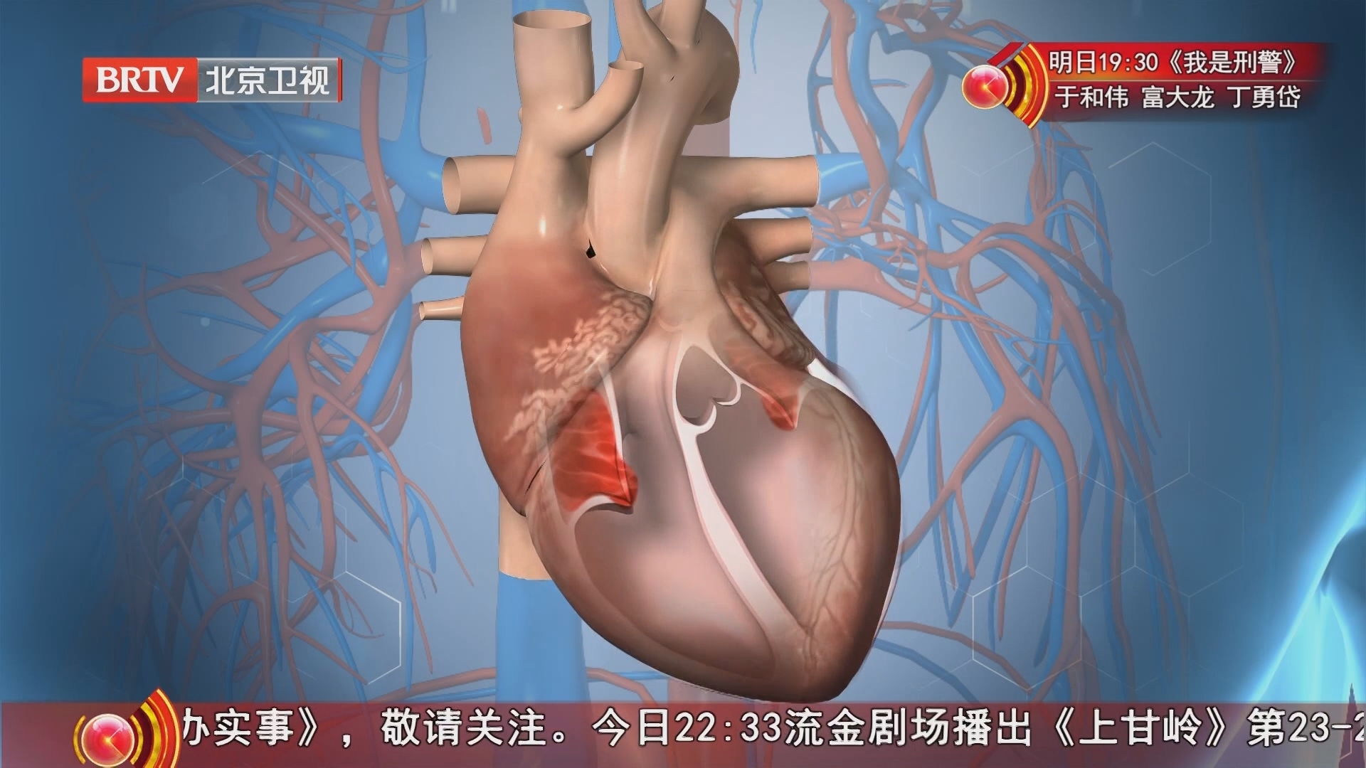 《养生堂》20241210拯救看不见的“心累”