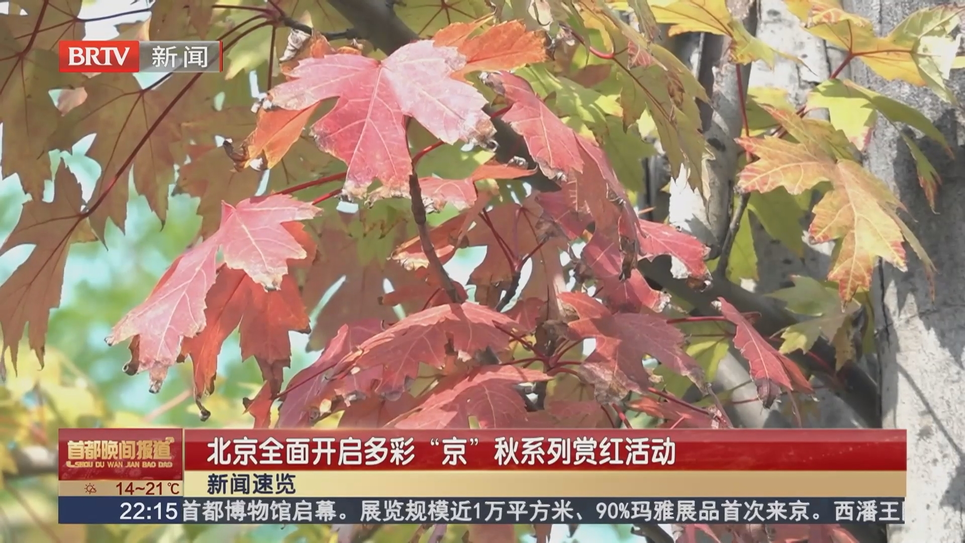 北京全面开启多彩“京”秋系列赏红活动