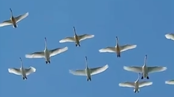 盘点2025年北京四季“中国色”