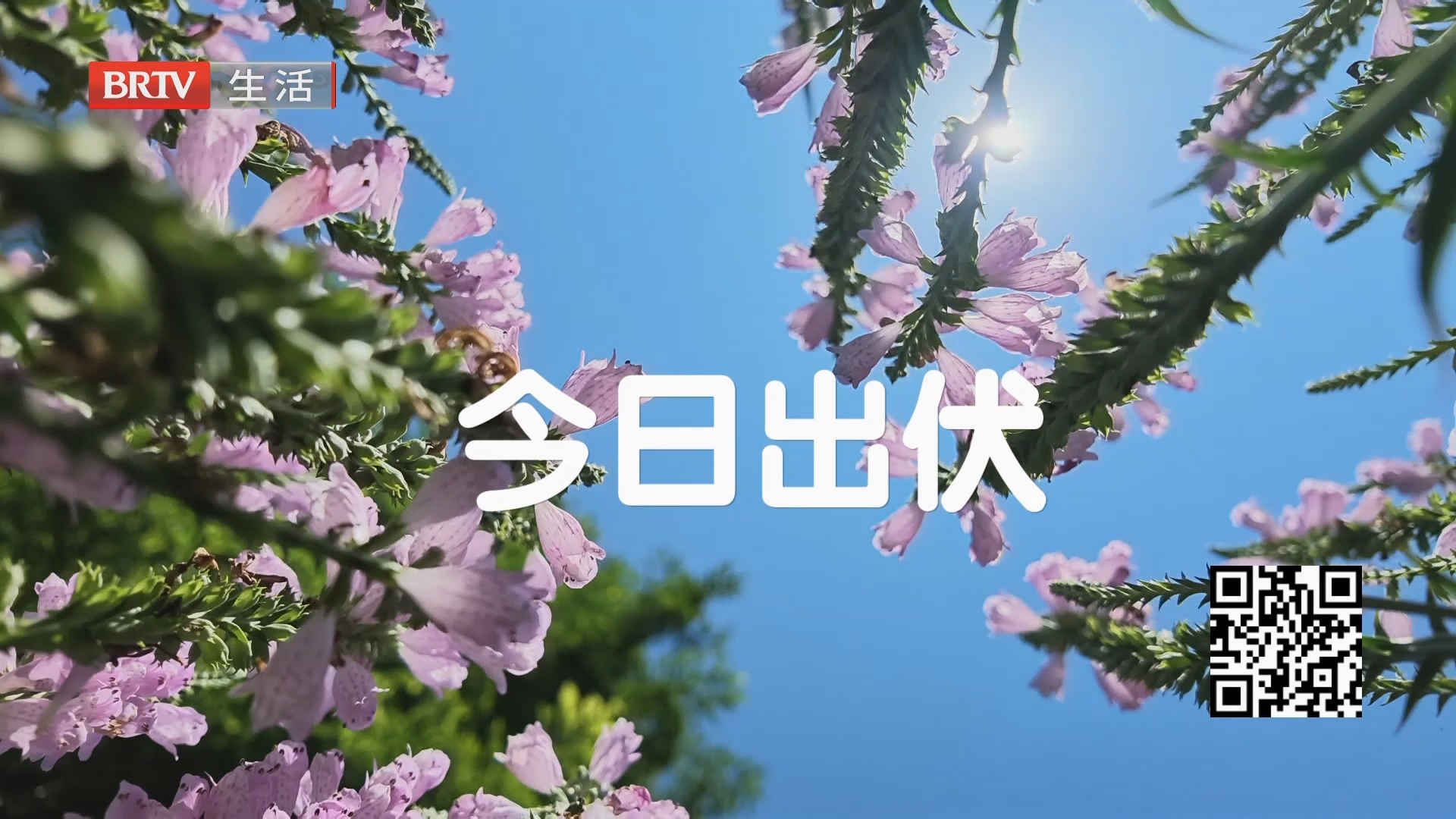 《生活这一刻》20260824 《生活这一刻》20260824