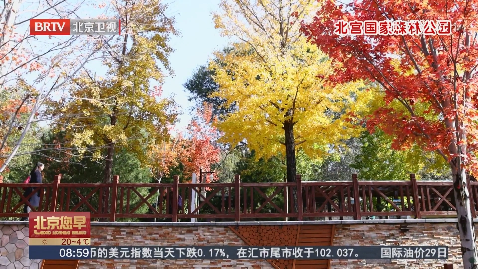 北京呈现“双面”秋色