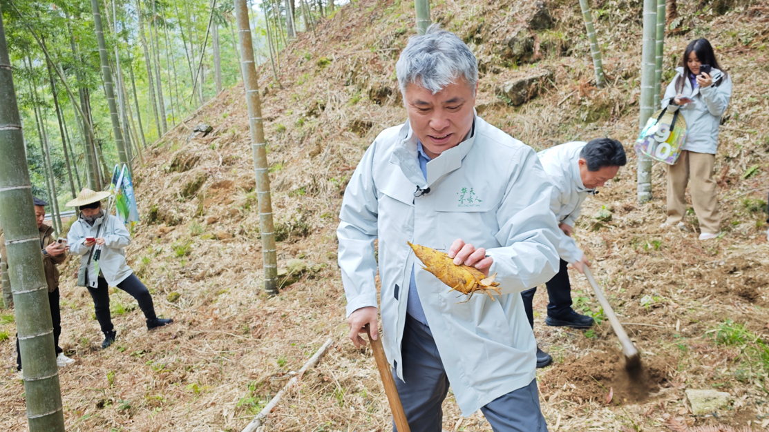 烹饪大师深山寻鲜 时令春菜走俏市民餐桌 烹饪大师深山寻鲜 时令春菜走俏市民餐桌