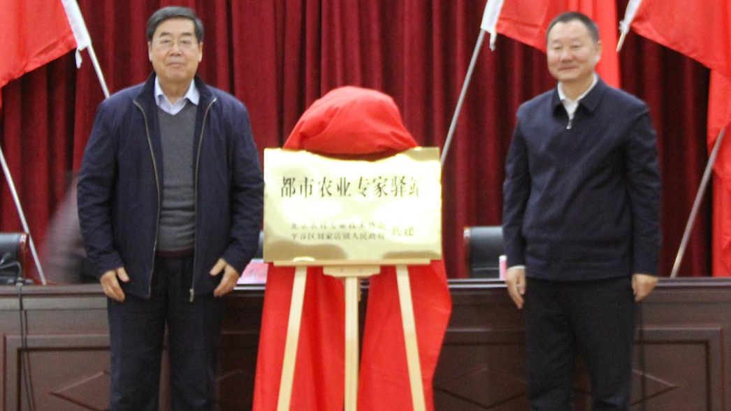 全区首个都市农业专家驿站在这个镇成立 全区首个都市农业专家驿站在这个镇成立