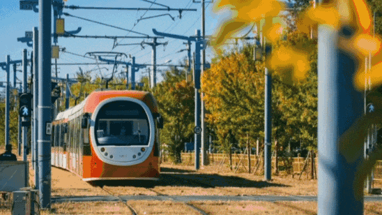 美图来袭 | 一夜之间,海淀->花海! 美图来袭 | 一夜之间,海淀->花海!