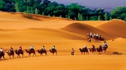 全国政协委员陈雍:欢迎来宁夏,给心灵放个假 全国政协委员陈雍:欢迎来宁夏,给心灵放个假