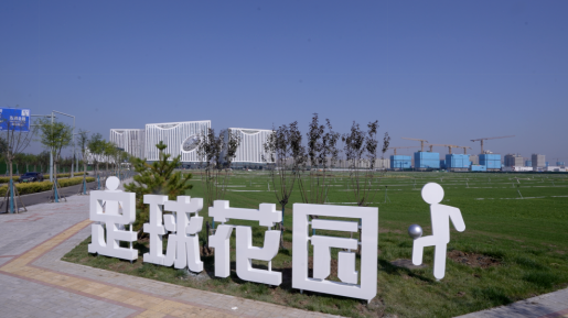 大兴打卡新地标！“国门画廊”中的绿茵场建成开放