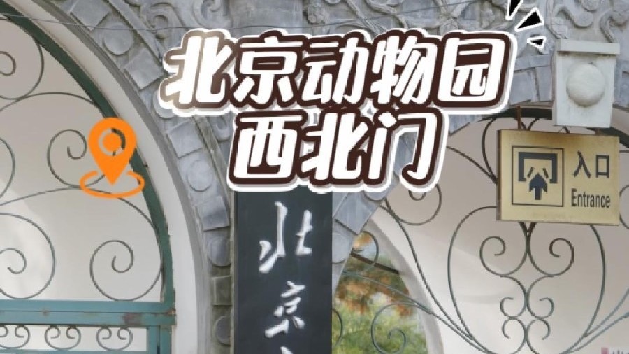 五一北京去哪儿之北京动物园的隐藏入口！还有停车场呢