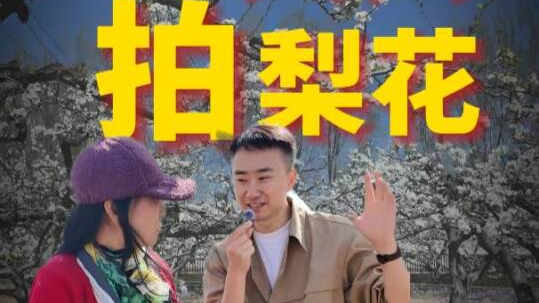 清明假期,我在大兴拍梨花! 清明假期,我在大兴拍梨花!