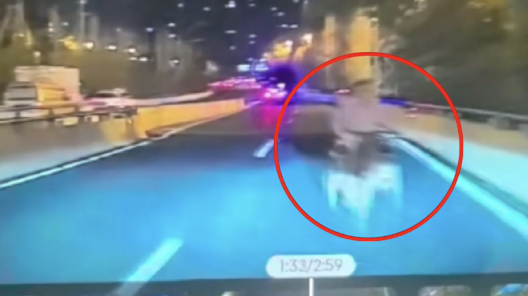 女子高架开车遇大爷骑三轮逆行，猛打方向盘躲避逃过一劫