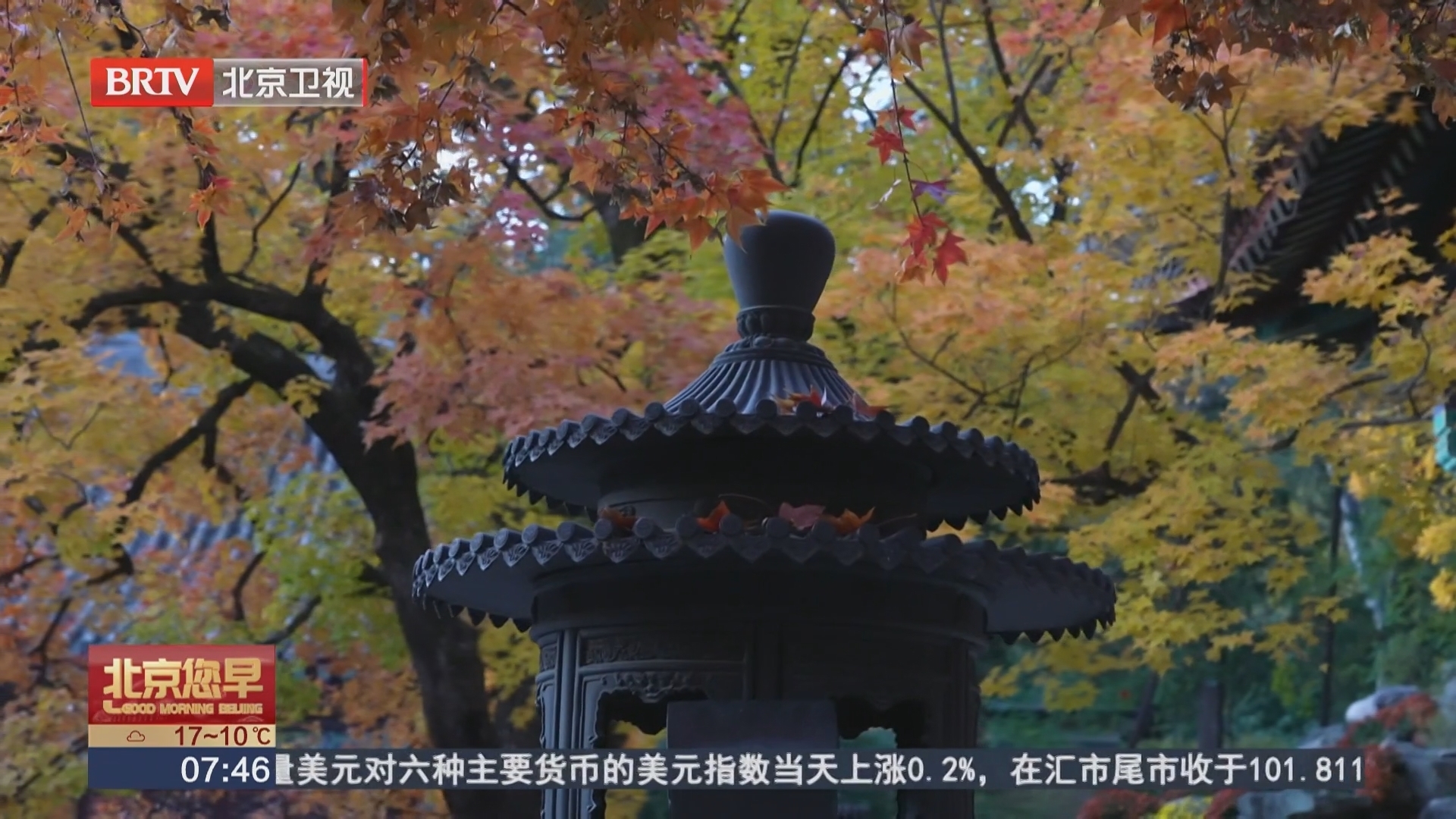 霜降“催红”香山 红叶变色率是如何测出的？