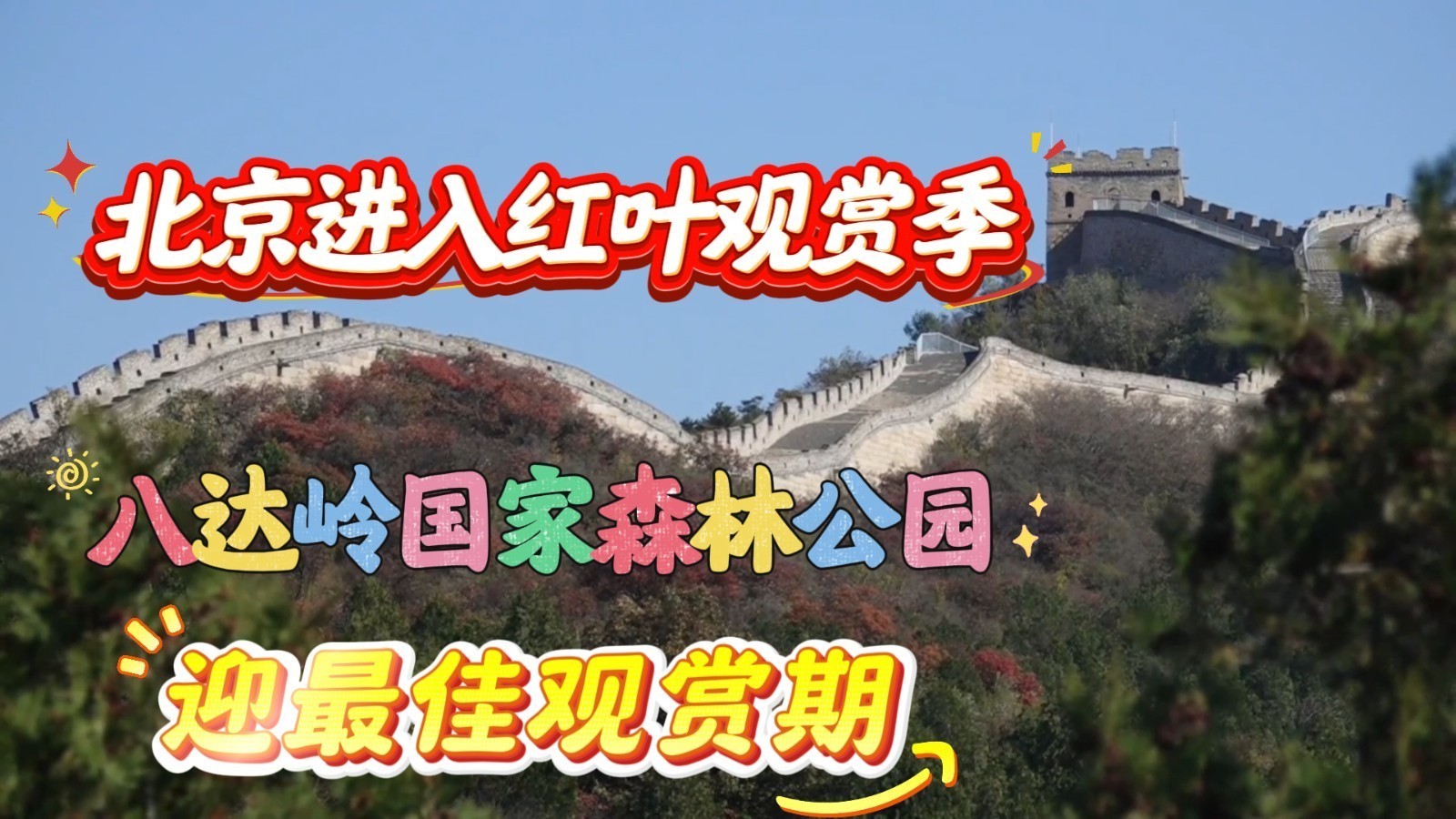 北京进入红叶观赏季!各大观赏片区陆续“上新” 这份出行提示请收好 北京进入红叶观赏季!各大观赏片区陆续“上新” 这份出行提示请收好