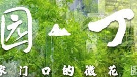 石景山区家门口的微花园园丁