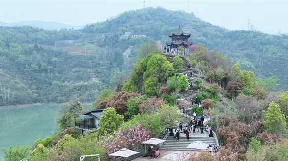 十堰房县樱花岛景区第五届赏樱花暨非遗文化旅游活动启幕