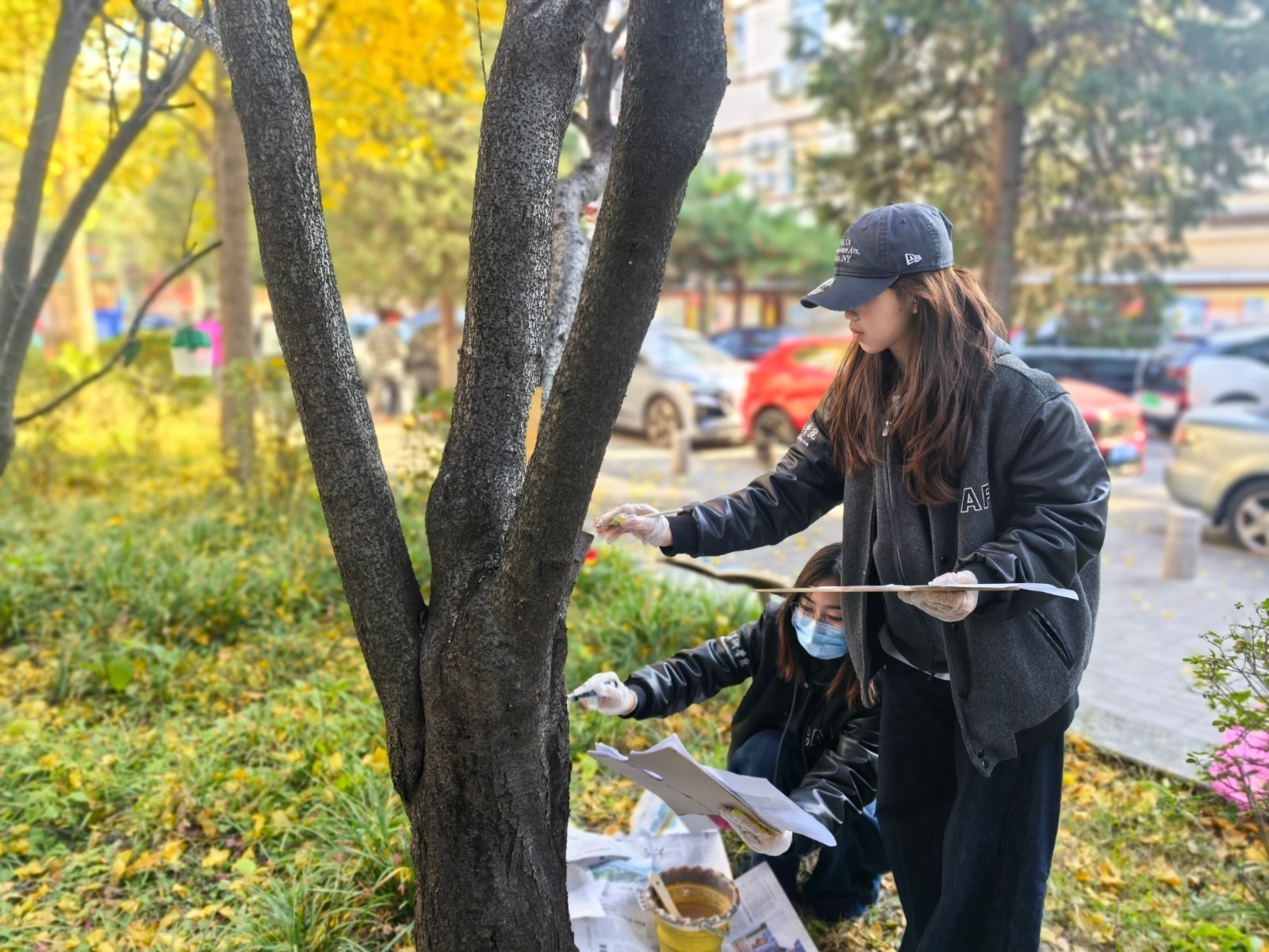 美院学子为树木“穿新衣” 南北里社区添“颜值”更增“温度” 美院学子为树木“穿新衣” 南北里社区添“颜值”更增“温度”