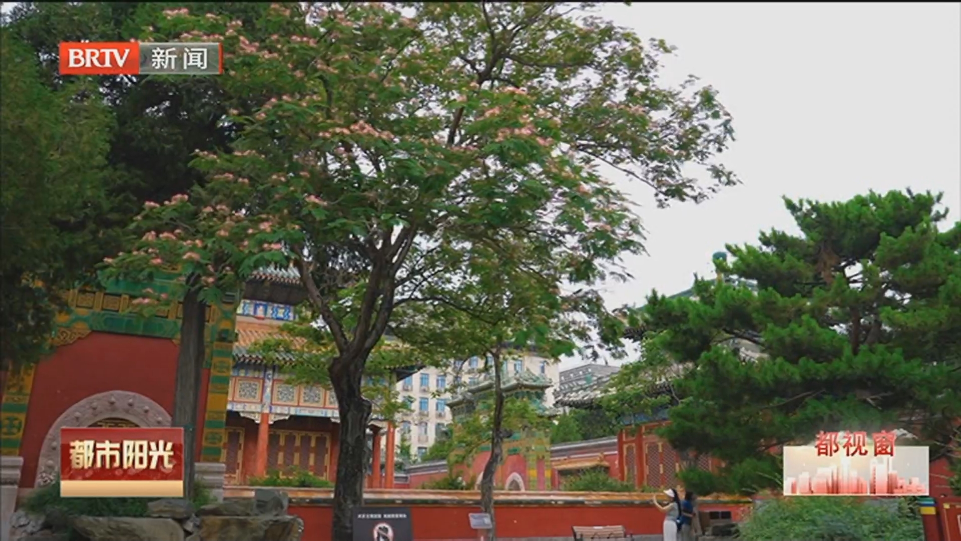 《都市阳光》20260621
