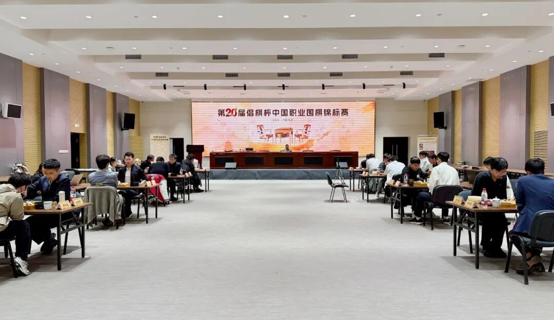 中国职业围棋锦标赛卫冕冠军丁浩出局