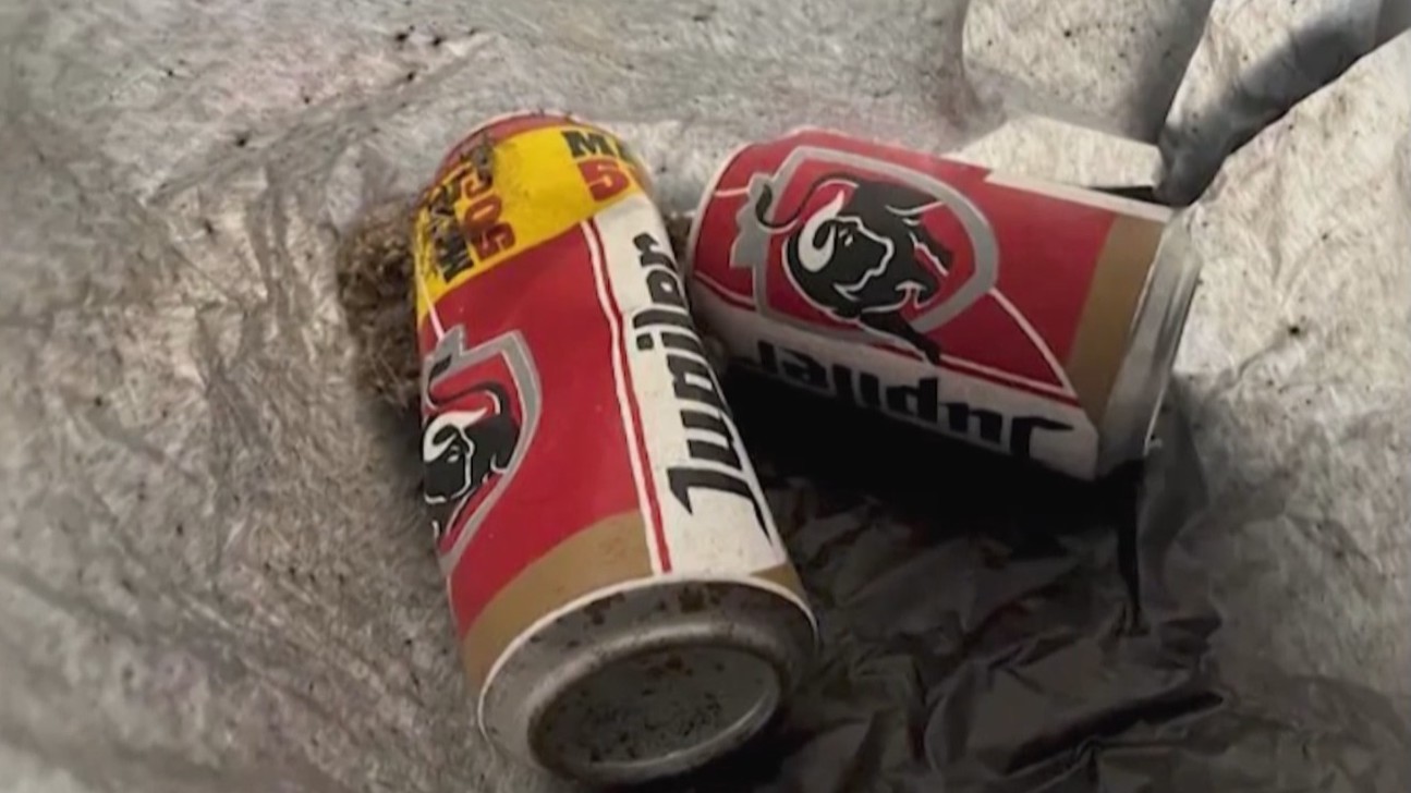 荷兰一博物馆“闹乌龙” 啤酒罐展品误当垃圾被丢掉