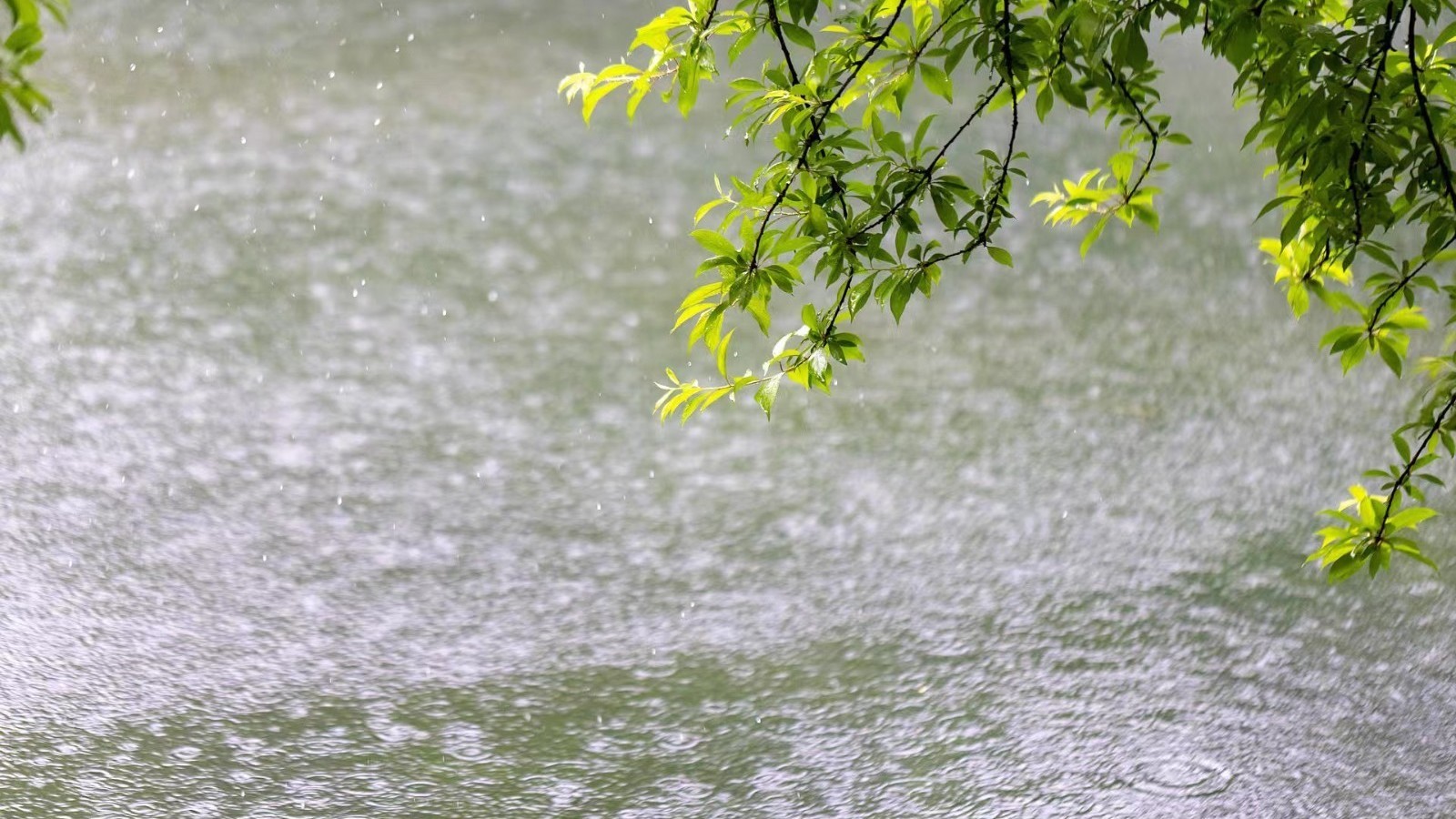 今天白天阴有中雨 局地大雨 暴雨蓝色预警中