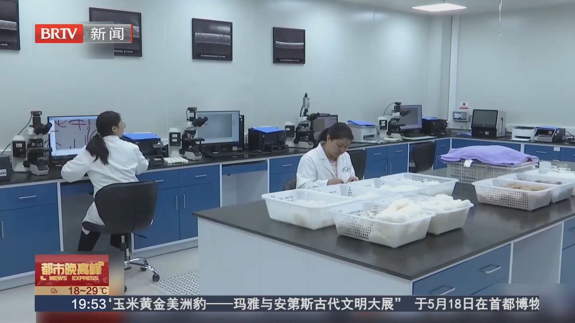 检验揭开真相 绵羊绒是“毛”不是“绒” 检验揭开真相 绵羊绒是“毛”不是“绒”