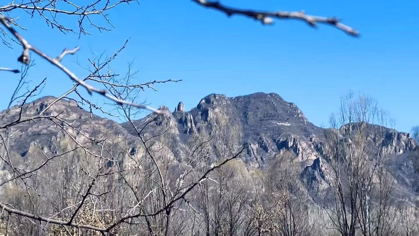 最高气温9℃ 寒暖交替前行 春在慢慢靠近