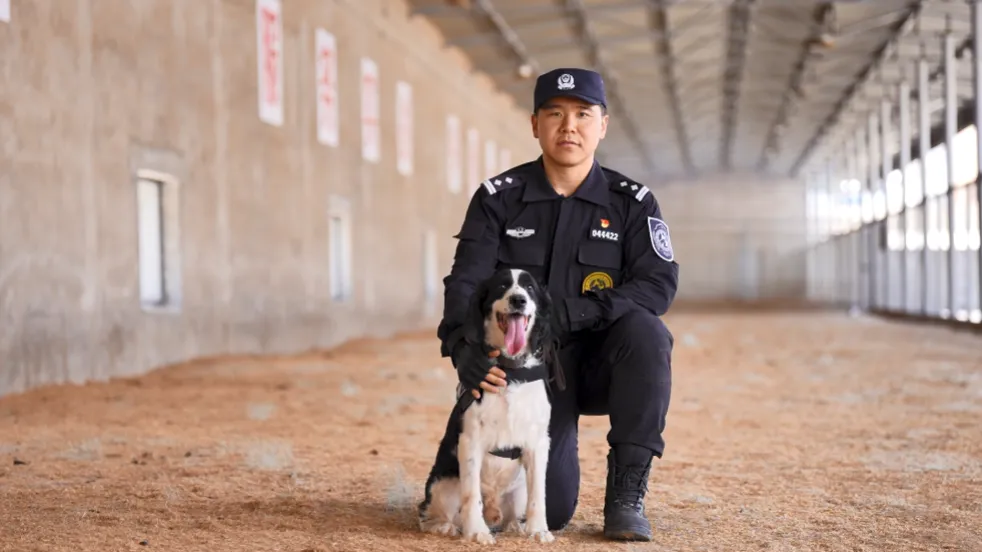 怕狗还能当训犬员吗？