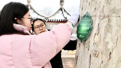 首位树木认养人“上线”，顺义大树迎来守护者 在顺义，您可以认养一棵树
