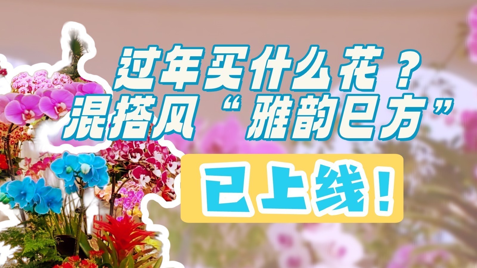 京津冀过大年｜过年买什么花？ 混搭年宵花“雅韵巳方”火速安排！