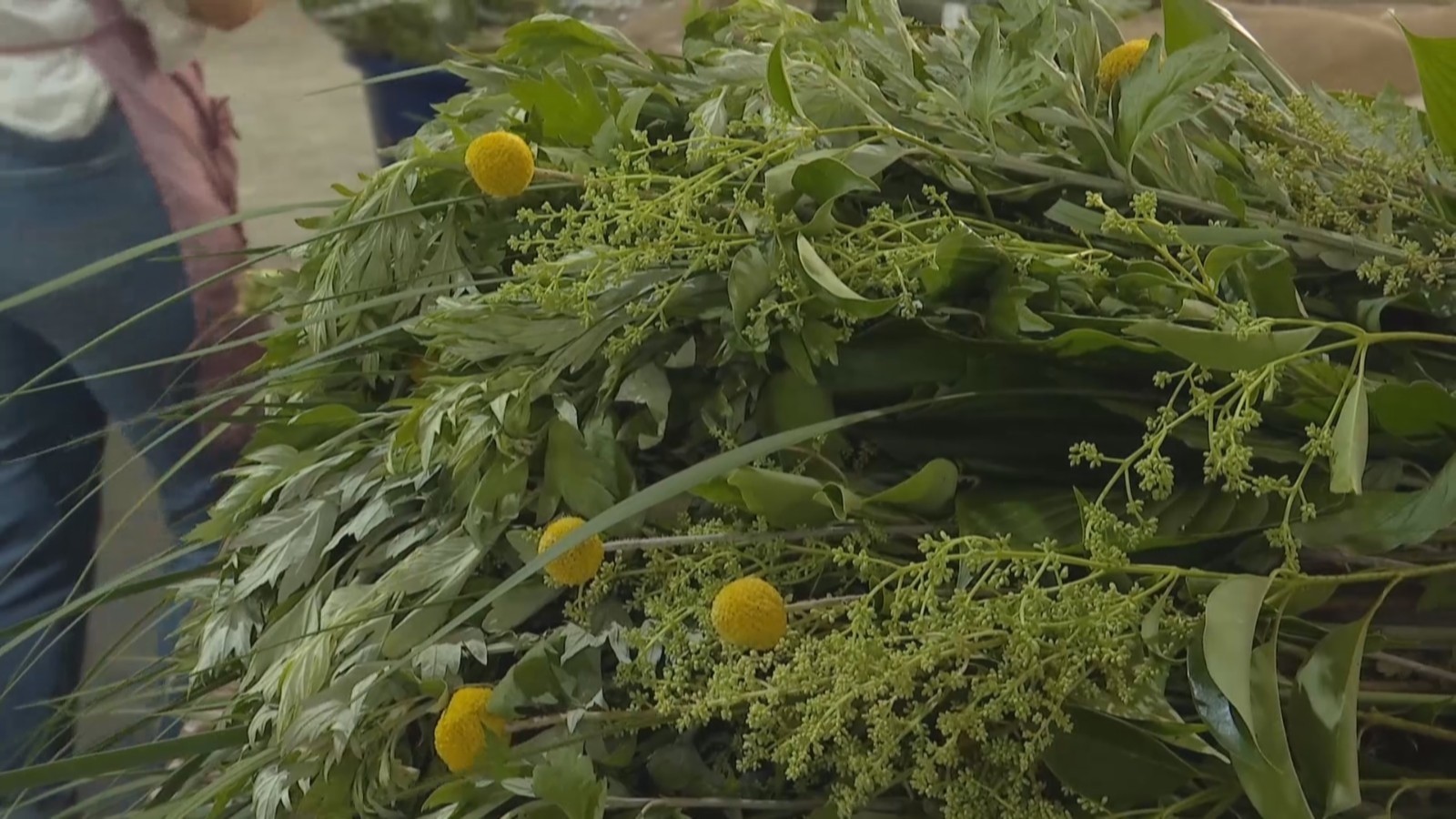 新式艾草花束火了 传统习俗有了新表达 新式艾草花束火了 传统习俗有了新表达