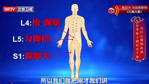 腰椎神经的不同作用！