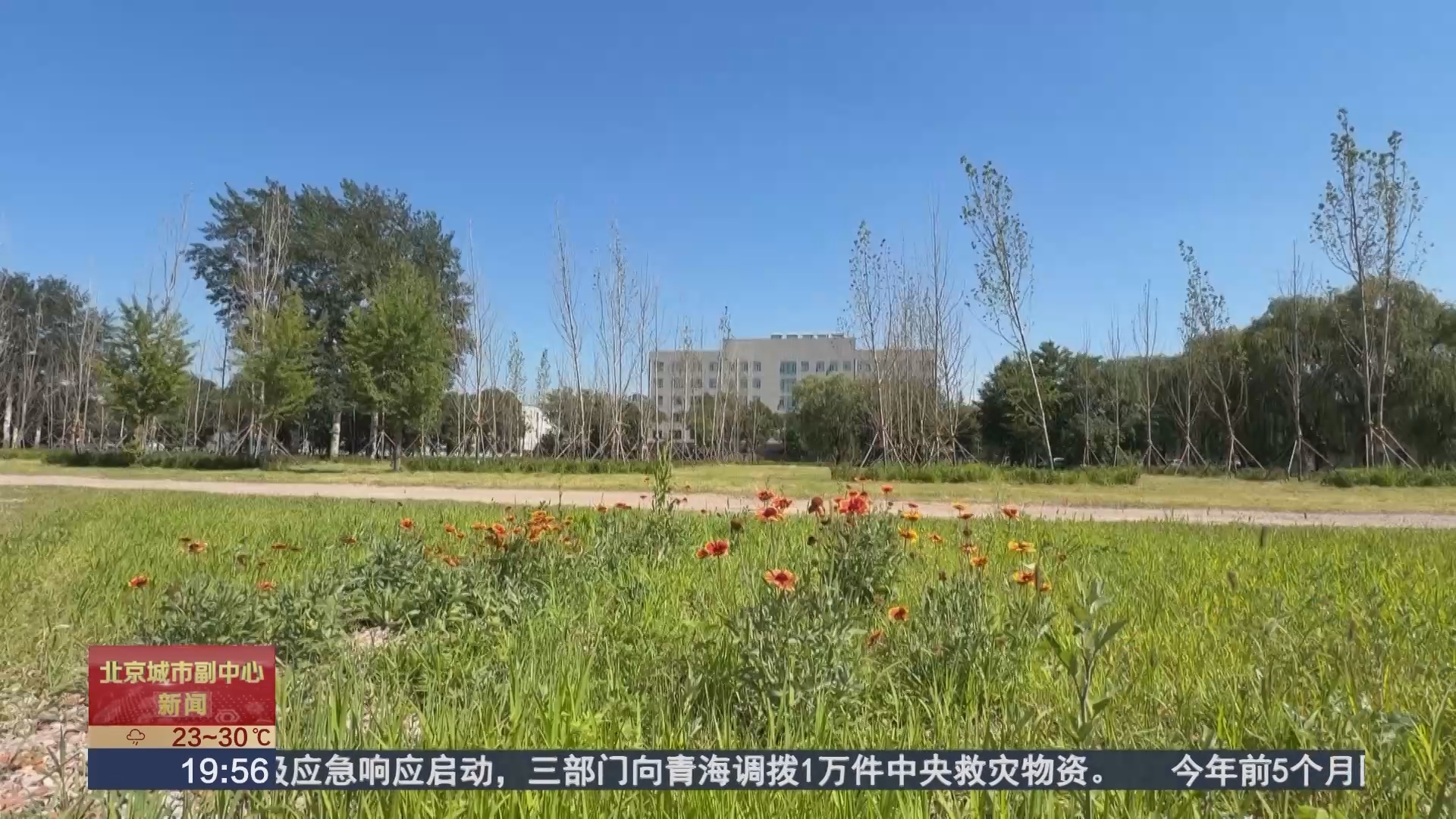 漷县大集新增500个停车位