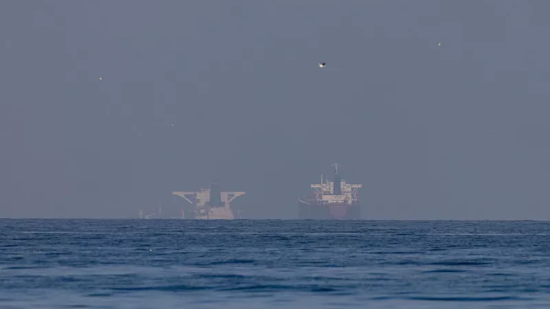 伊朗谈判代表团成员:世界将见证霍尔木兹海峡的新格局 伊朗谈判代表团成员:世界将见证霍尔木兹海峡的新格局