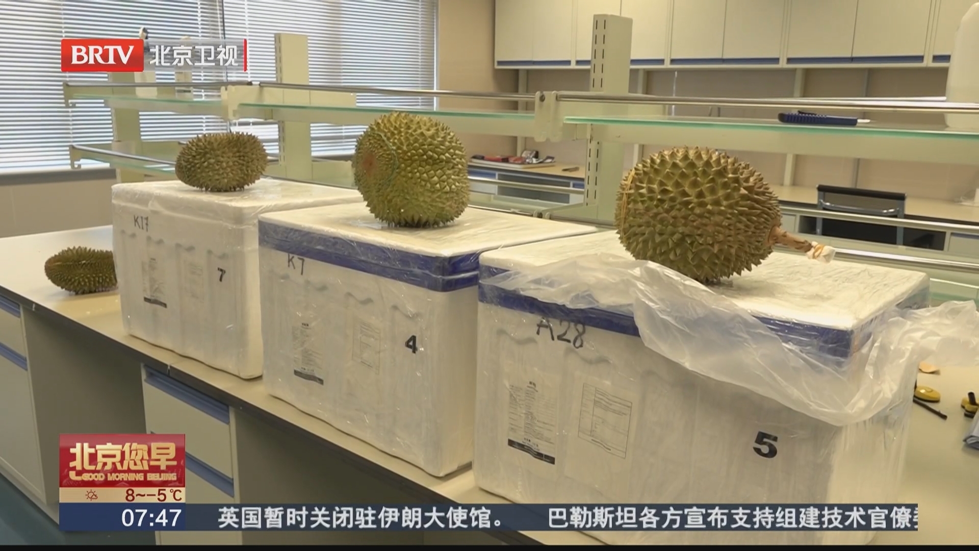 大兴机场海关：生鲜查验“绿色通道” 去年入境货值超6000万元