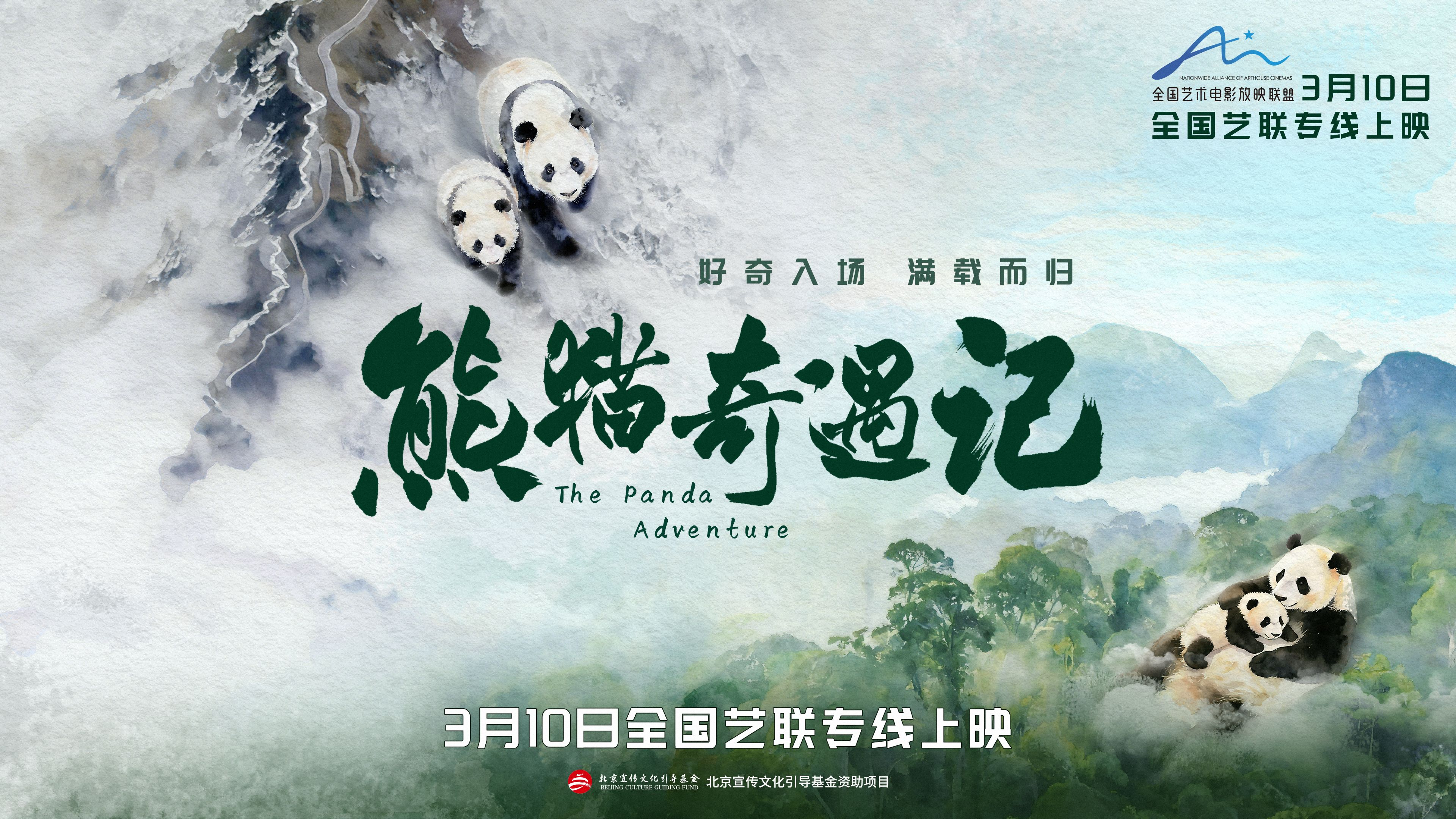 纪实电影《熊猫奇遇记》暖心定档，3月10日解锁国宝全生命周期密码