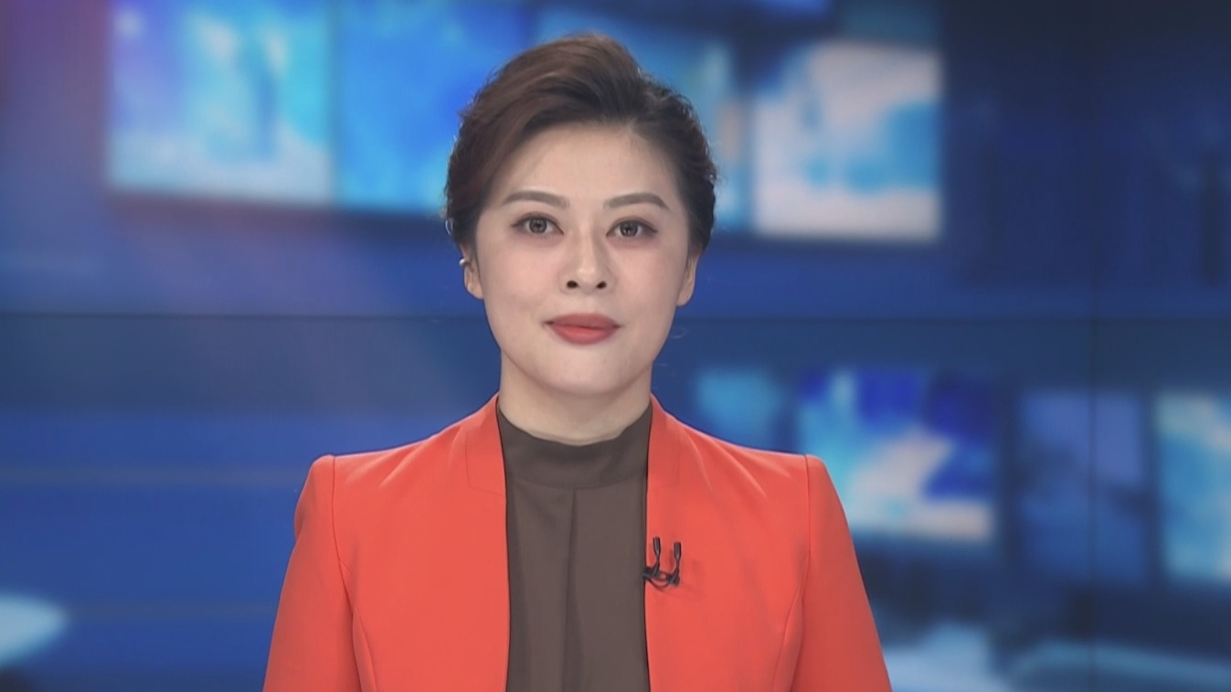 殷勇出访丹麦芬兰