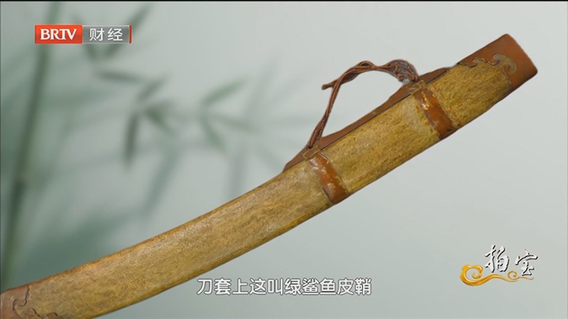 《拍宝》20250823