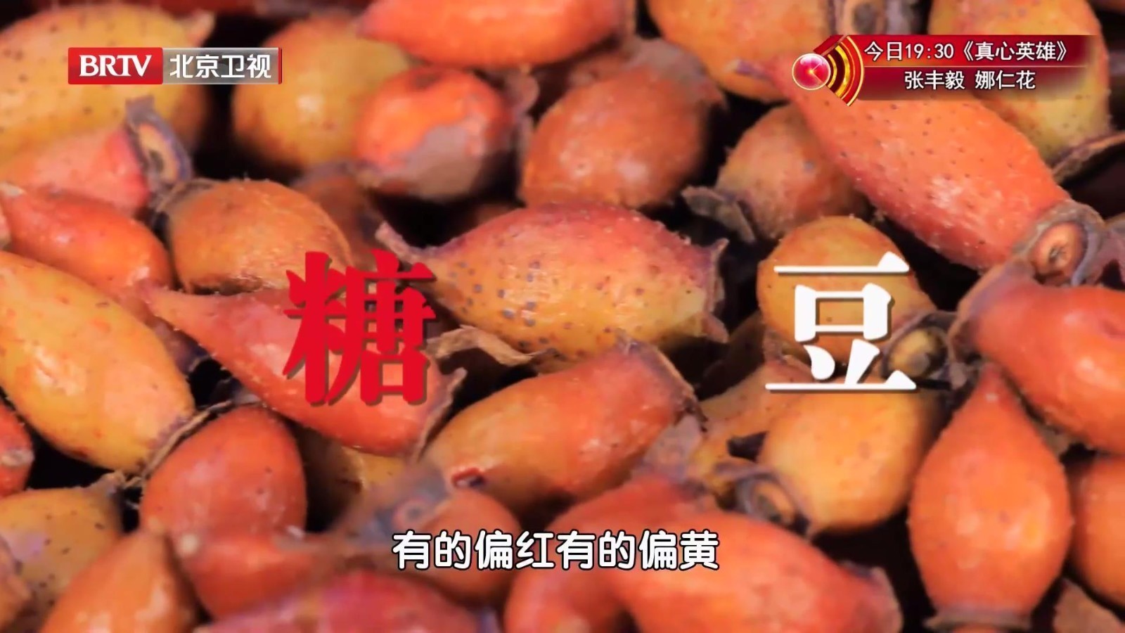 这种“糖豆”不仅能降糖，还可以降低尿蛋白，究竟是什么？