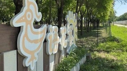 镇里飞出了“金翅鸟”，创新融合打造乡村振兴“全明星”