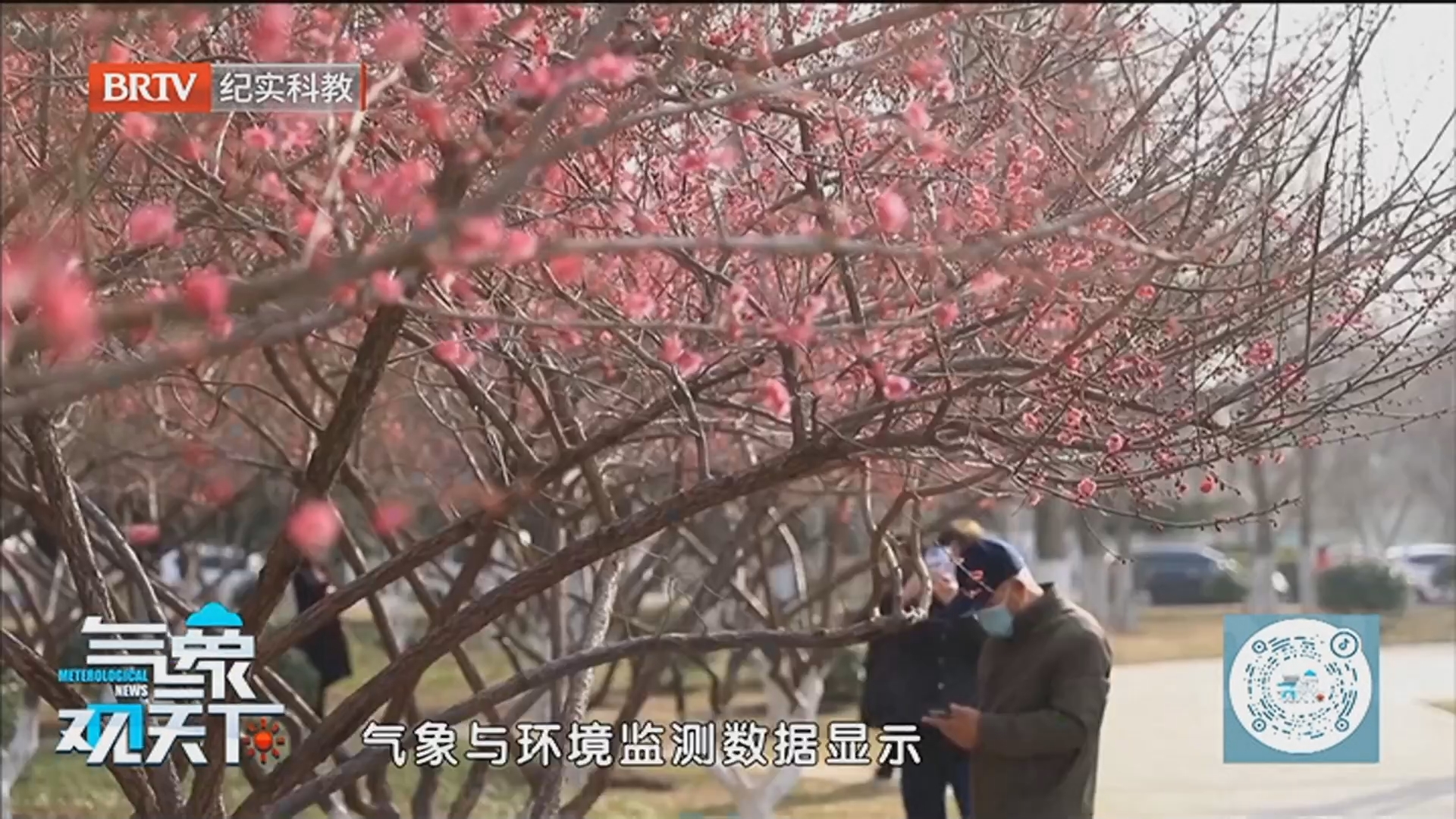 《气象观天下》20260319冷空气暂告一段落 京城回暖正当时